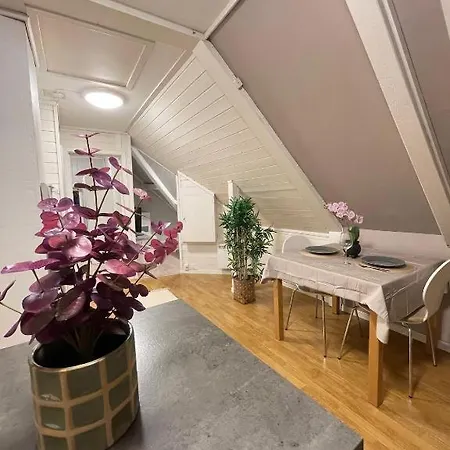Sentrumsnaer Hybelleilighet Med Eget Kjokken Apartamento *