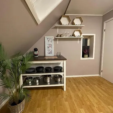 Sentrumsnaer Hybelleilighet Med Eget Kjokken *