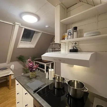 Apartamento Sentrumsnaer Hybelleilighet Med Eget Kjokken
